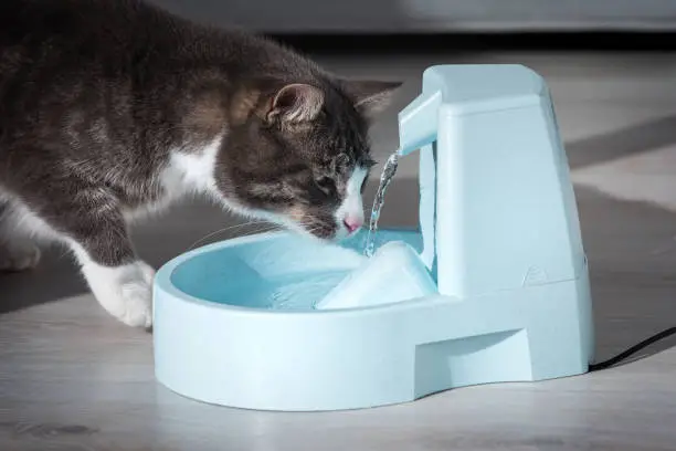 Humidifiers & Pet Water Fountains